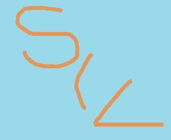 Servizio Integrazione Lavorativa: anno 2012